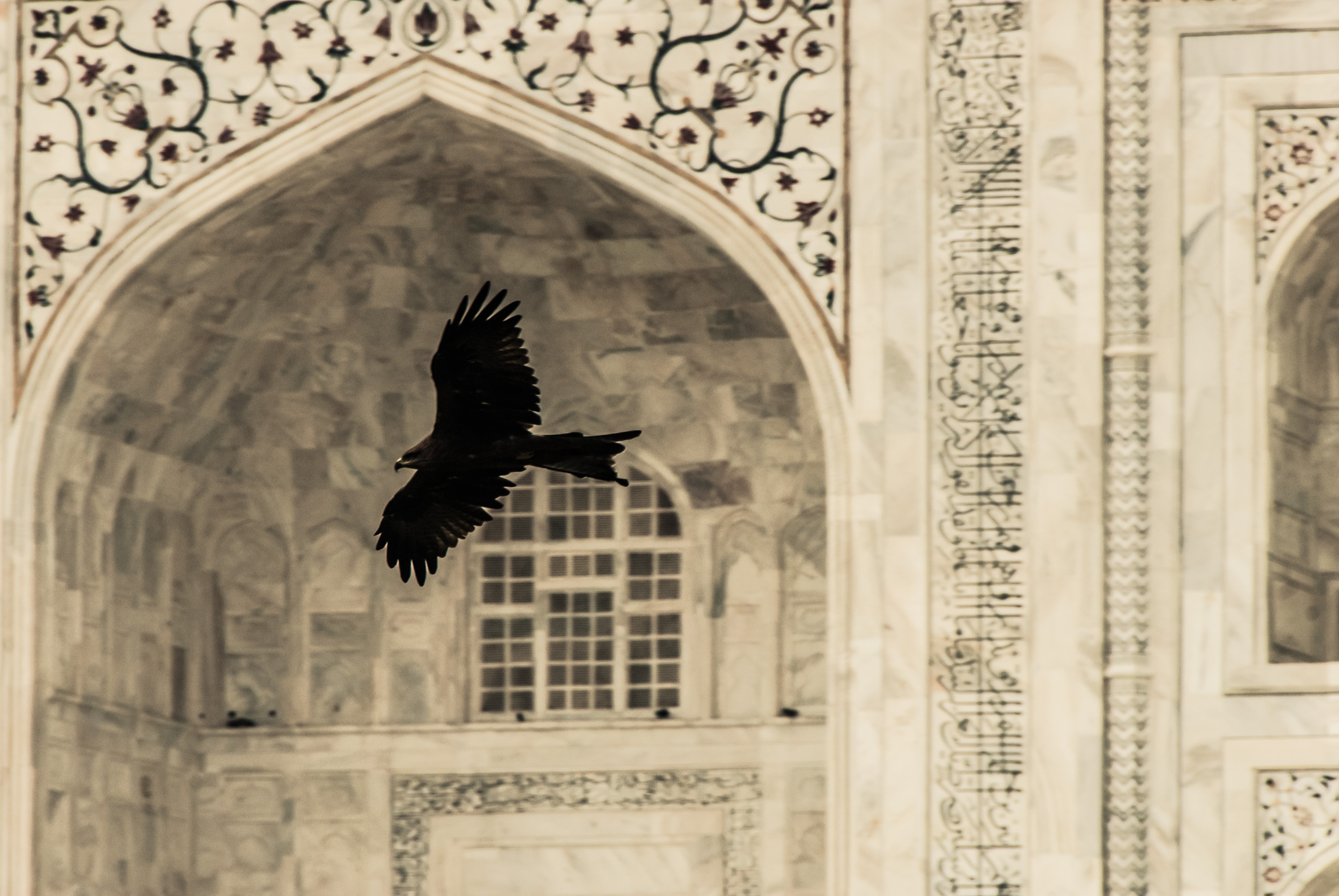 Un oiseau de proie en silhouette devant une arche de marbre sculptée