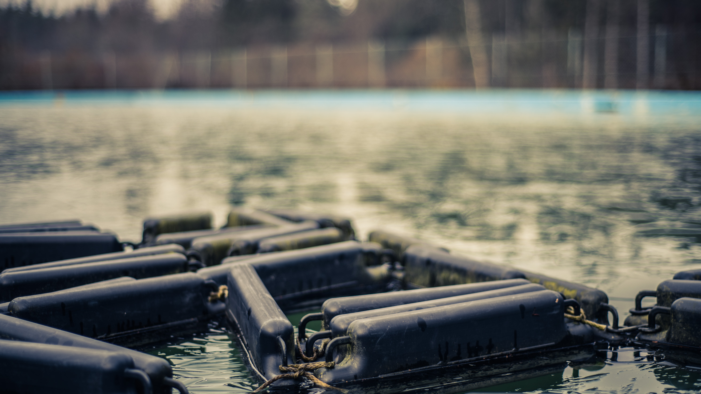 Des bouées noires reliées en chaîne sur l'eau d'un bassin