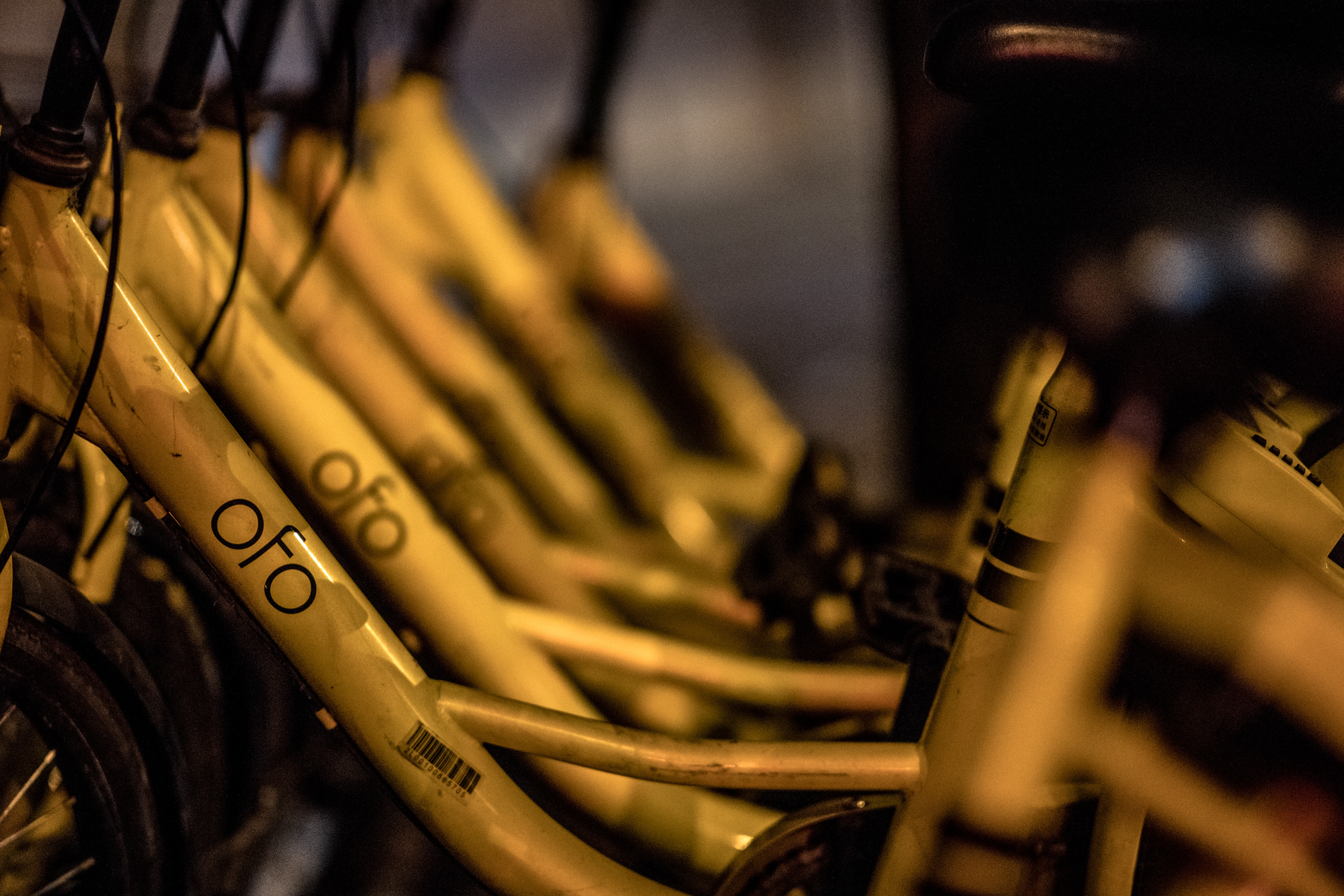 Des vélos de location jaunes « ofo » serrés les uns contre les autres